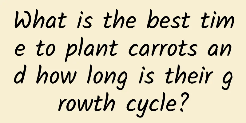 What is the best time to plant carrots and how long is their growth cycle?