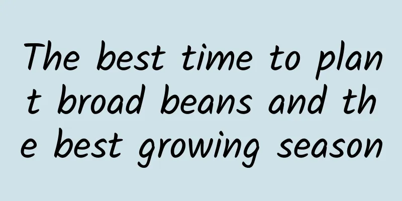 The best time to plant broad beans and the best growing season
