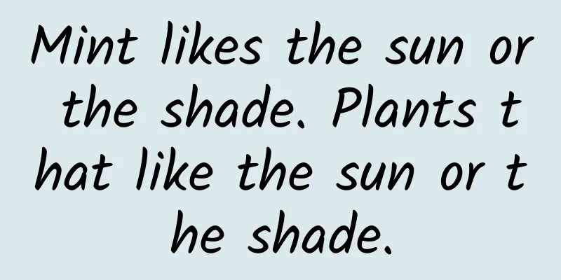 Mint likes the sun or the shade. Plants that like the sun or the shade.