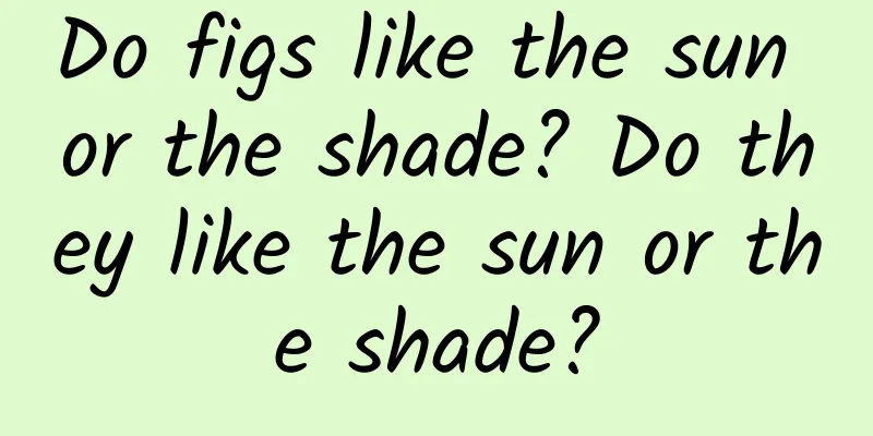 Do figs like the sun or the shade? Do they like the sun or the shade?