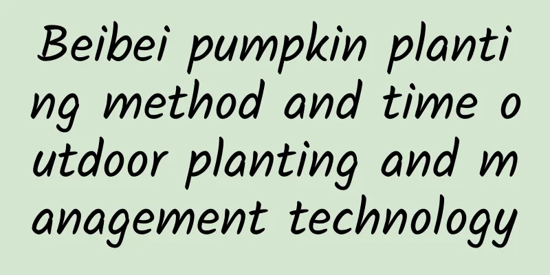 Beibei pumpkin planting method and time outdoor planting and management technology