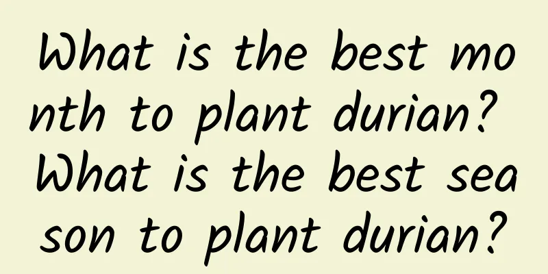What is the best month to plant durian? What is the best season to plant durian?