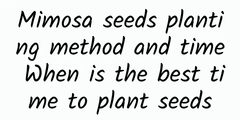 Mimosa seeds planting method and time When is the best time to plant seeds