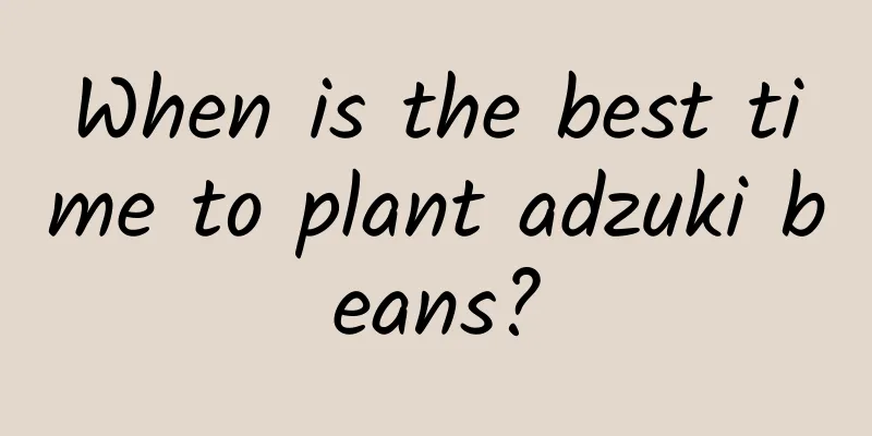 When is the best time to plant adzuki beans?