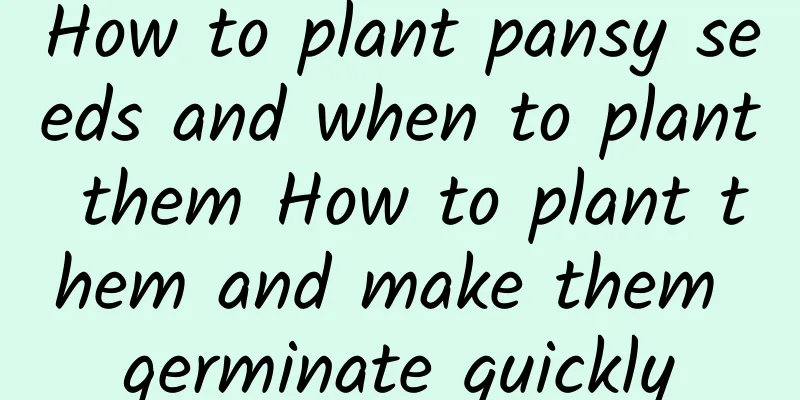 How to plant pansy seeds and when to plant them How to plant them and make them germinate quickly
