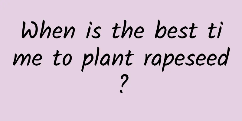 When is the best time to plant rapeseed?