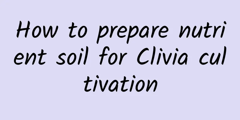 How to prepare nutrient soil for Clivia cultivation
