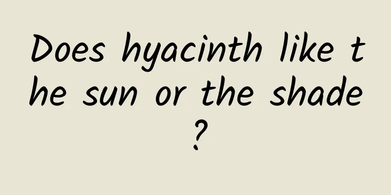 Does hyacinth like the sun or the shade?