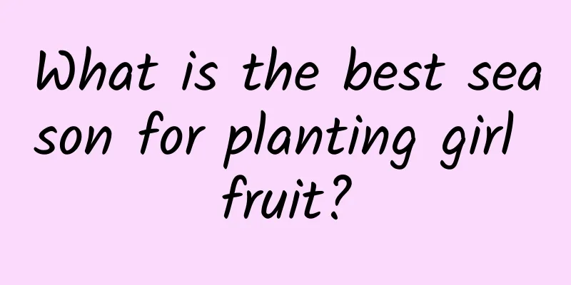 What is the best season for planting girl fruit?