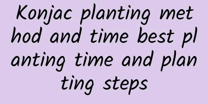 Konjac planting method and time best planting time and planting steps