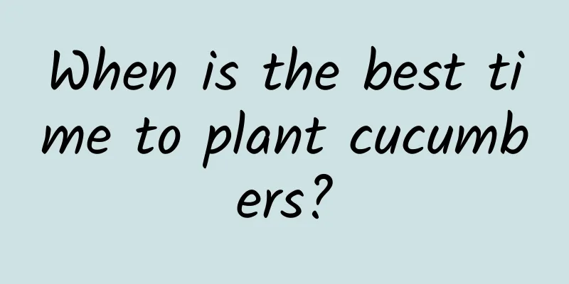 When is the best time to plant cucumbers?