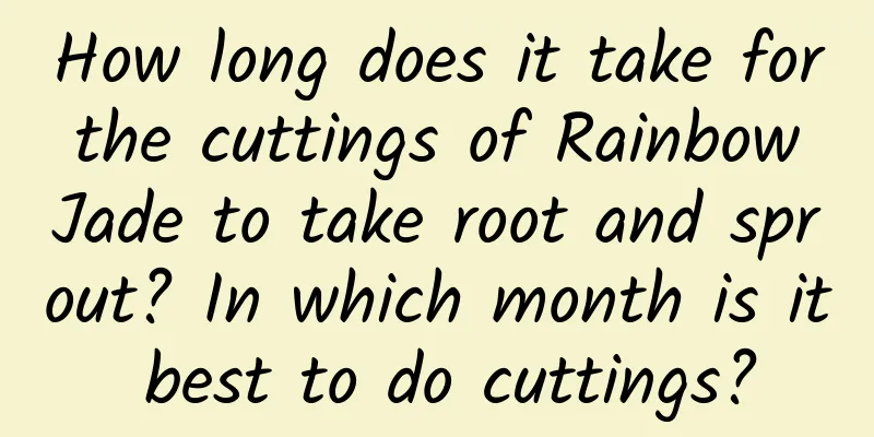 How long does it take for the cuttings of Rainbow Jade to take root and sprout? In which month is it best to do cuttings?