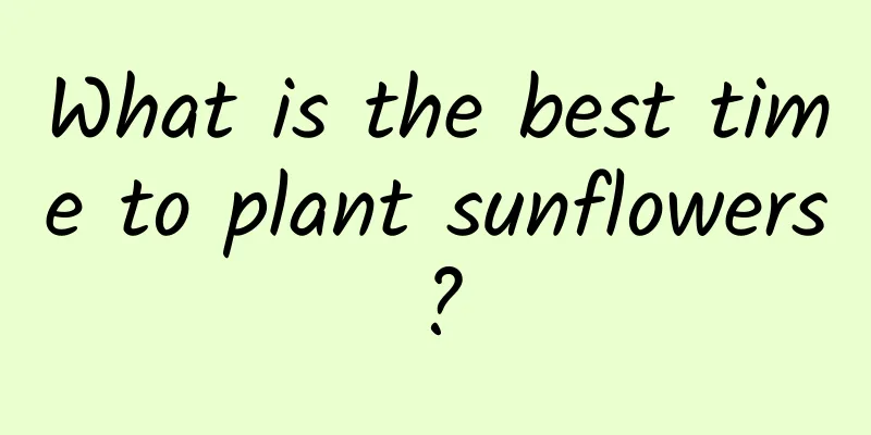 What is the best time to plant sunflowers?