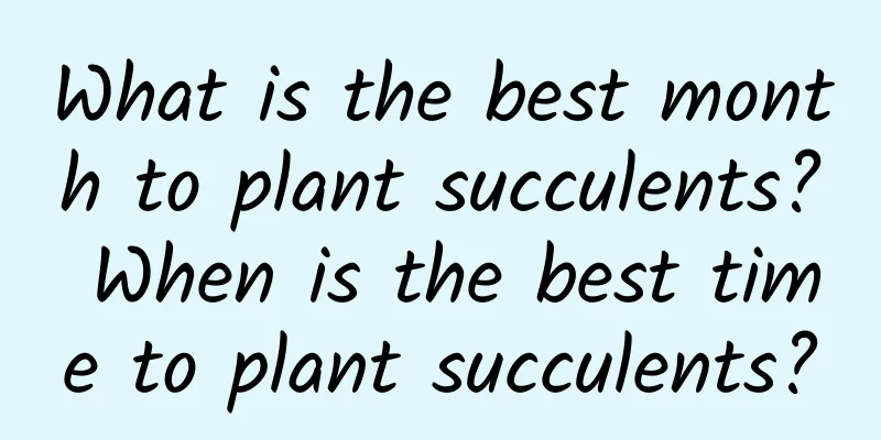 What is the best month to plant succulents? When is the best time to plant succulents?