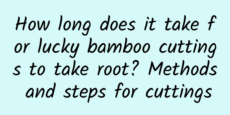 How long does it take for lucky bamboo cuttings to take root? Methods and steps for cuttings