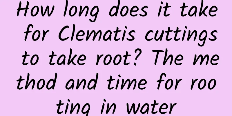How long does it take for Clematis cuttings to take root? The method and time for rooting in water
