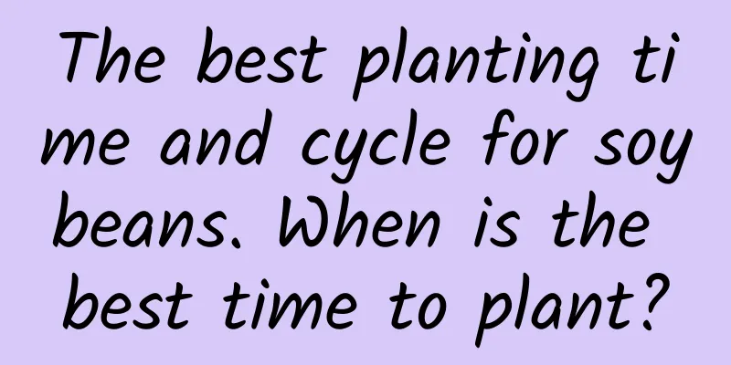 The best planting time and cycle for soybeans. When is the best time to plant?