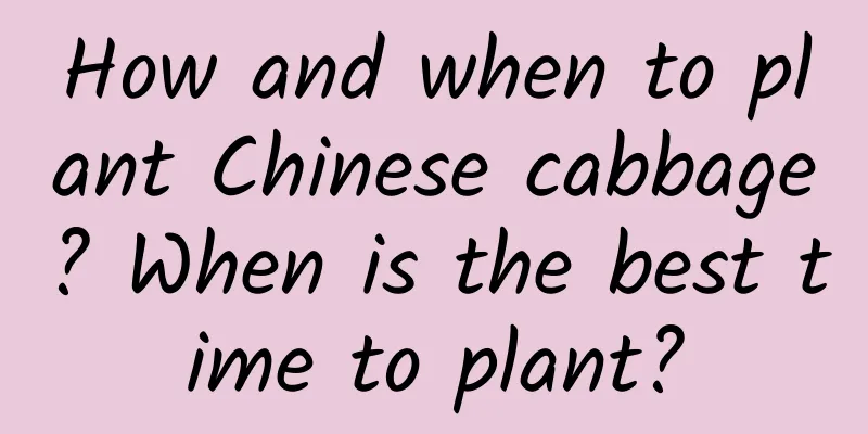 How and when to plant Chinese cabbage? When is the best time to plant?