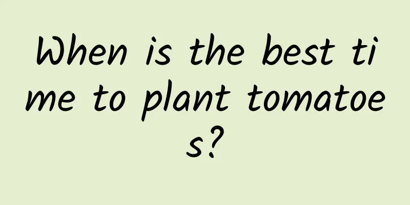 When is the best time to plant tomatoes?