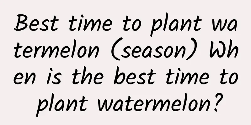 Best time to plant watermelon (season) When is the best time to plant watermelon?
