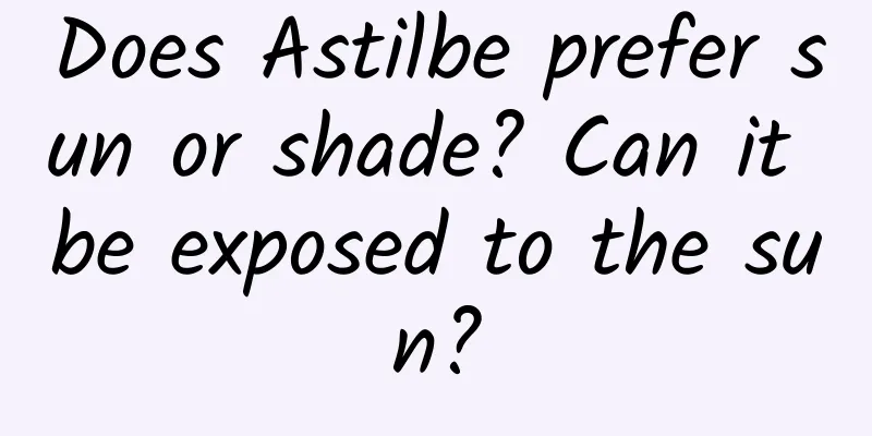 Does Astilbe prefer sun or shade? Can it be exposed to the sun?