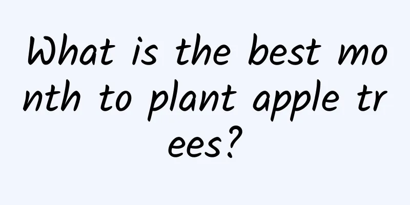 What is the best month to plant apple trees?