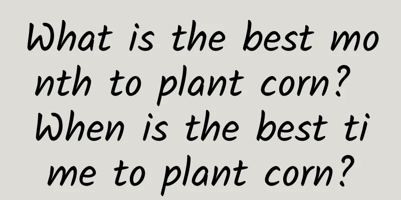 What is the best month to plant corn? When is the best time to plant corn?