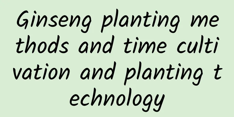 Ginseng planting methods and time cultivation and planting technology