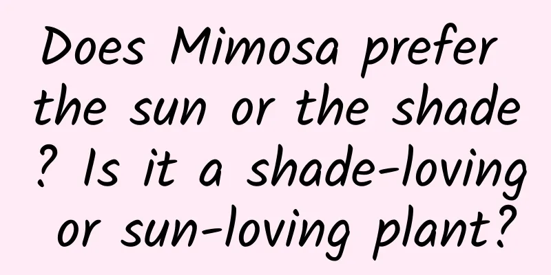Does Mimosa prefer the sun or the shade? Is it a shade-loving or sun-loving plant?