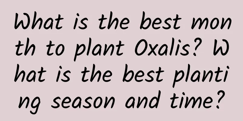 What is the best month to plant Oxalis? What is the best planting season and time?