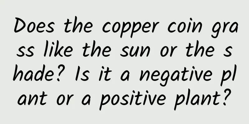 Does the copper coin grass like the sun or the shade? Is it a negative plant or a positive plant?