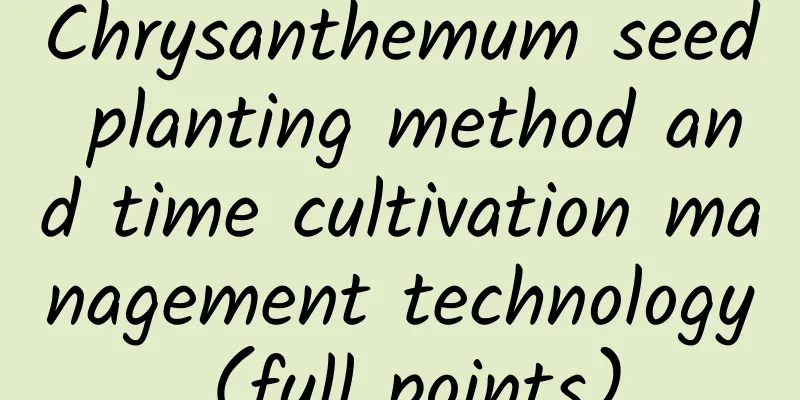 Chrysanthemum seed planting method and time cultivation management technology (full points)