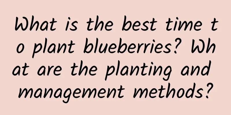 What is the best time to plant blueberries? What are the planting and management methods?