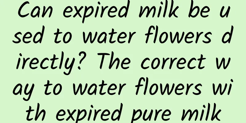 Can expired milk be used to water flowers directly? The correct way to water flowers with expired pure milk