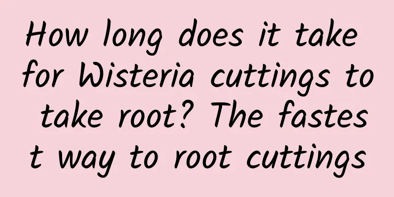 How long does it take for Wisteria cuttings to take root? The fastest way to root cuttings