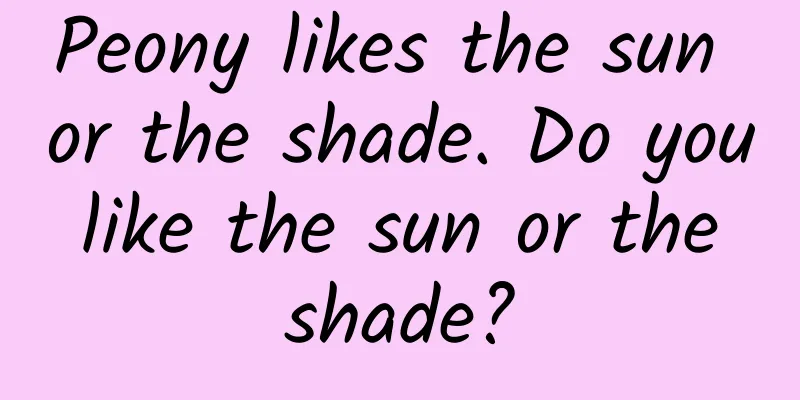 Peony likes the sun or the shade. Do you like the sun or the shade?