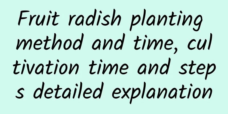 Fruit radish planting method and time, cultivation time and steps detailed explanation