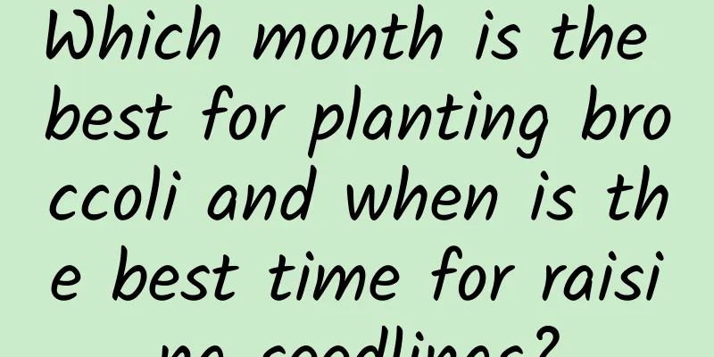 Which month is the best for planting broccoli and when is the best time for raising seedlings?
