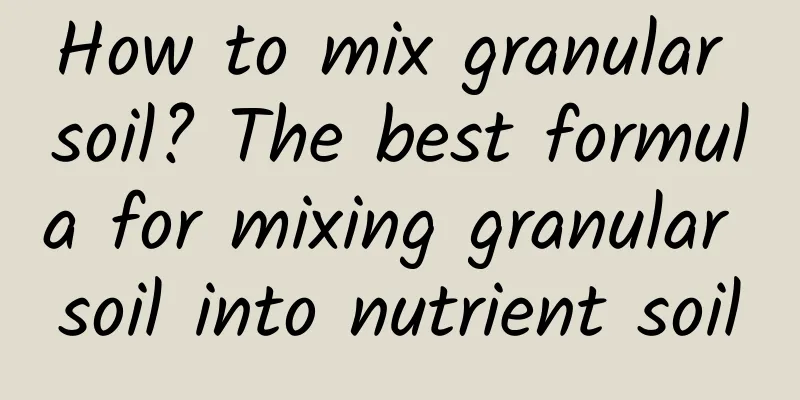 How to mix granular soil? The best formula for mixing granular soil into nutrient soil