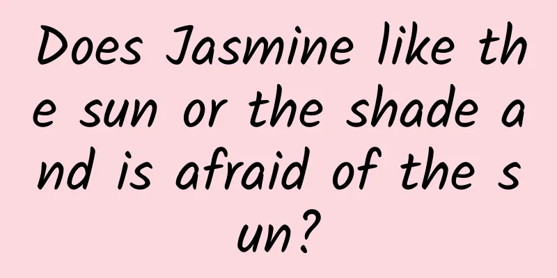 Does Jasmine like the sun or the shade and is afraid of the sun?