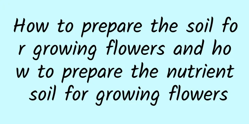 How to prepare the soil for growing flowers and how to prepare the nutrient soil for growing flowers
