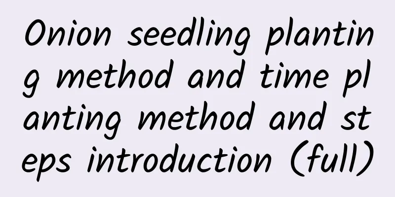 Onion seedling planting method and time planting method and steps introduction (full)