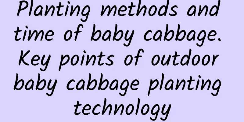 Planting methods and time of baby cabbage. Key points of outdoor baby cabbage planting technology