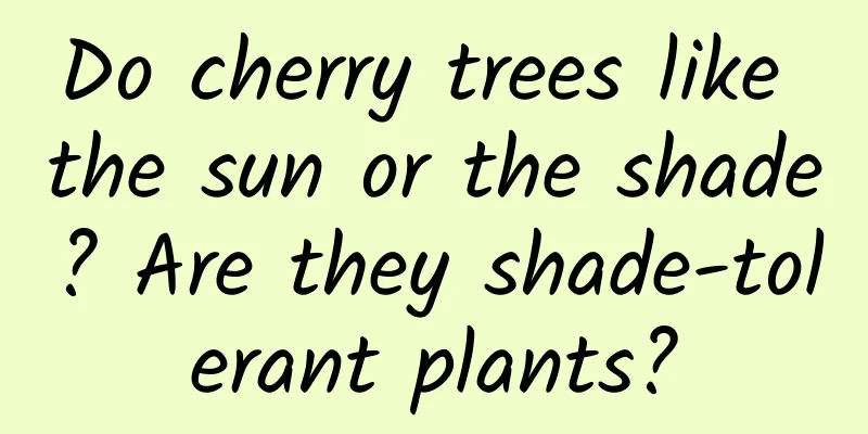 Do cherry trees like the sun or the shade? Are they shade-tolerant plants?