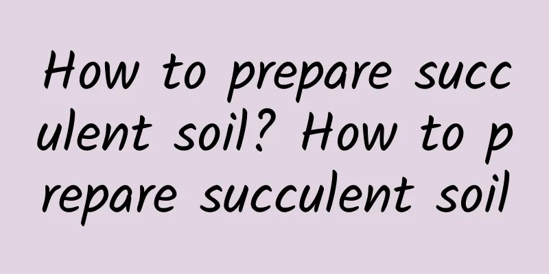 How to prepare succulent soil? How to prepare succulent soil