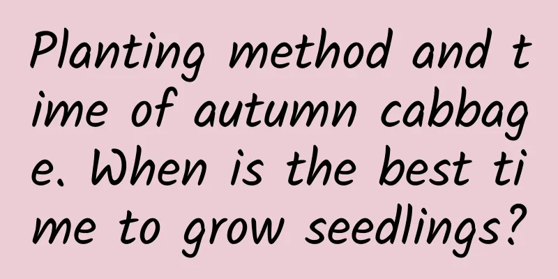 Planting method and time of autumn cabbage. When is the best time to grow seedlings?
