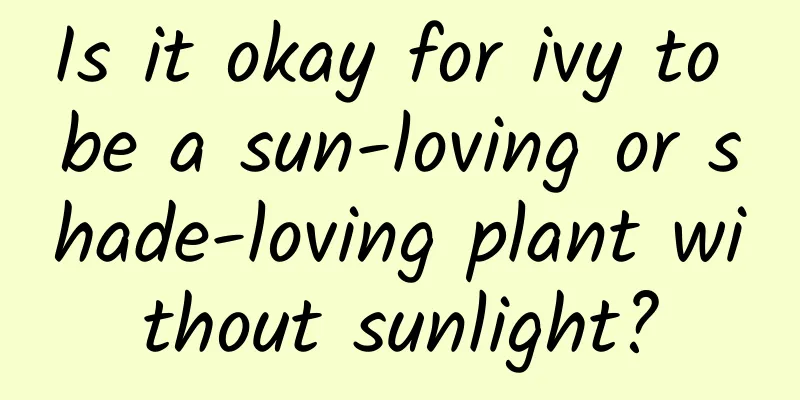 Is it okay for ivy to be a sun-loving or shade-loving plant without sunlight?