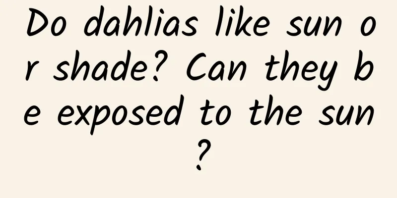 Do dahlias like sun or shade? Can they be exposed to the sun?