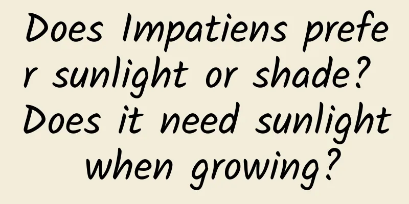 Does Impatiens prefer sunlight or shade? Does it need sunlight when growing?