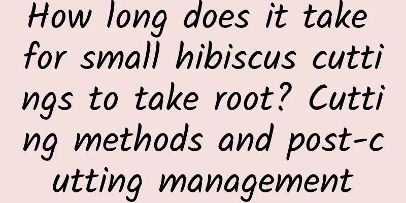 How long does it take for small hibiscus cuttings to take root? Cutting methods and post-cutting management